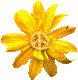 Avatar użytkownika