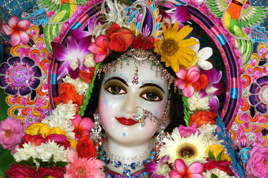 face radhe.jpg